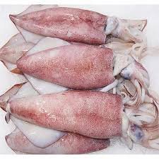 Frozen Squid